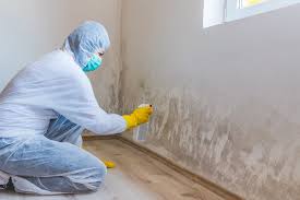 Forensic Mold Investigation in Parkland, FL